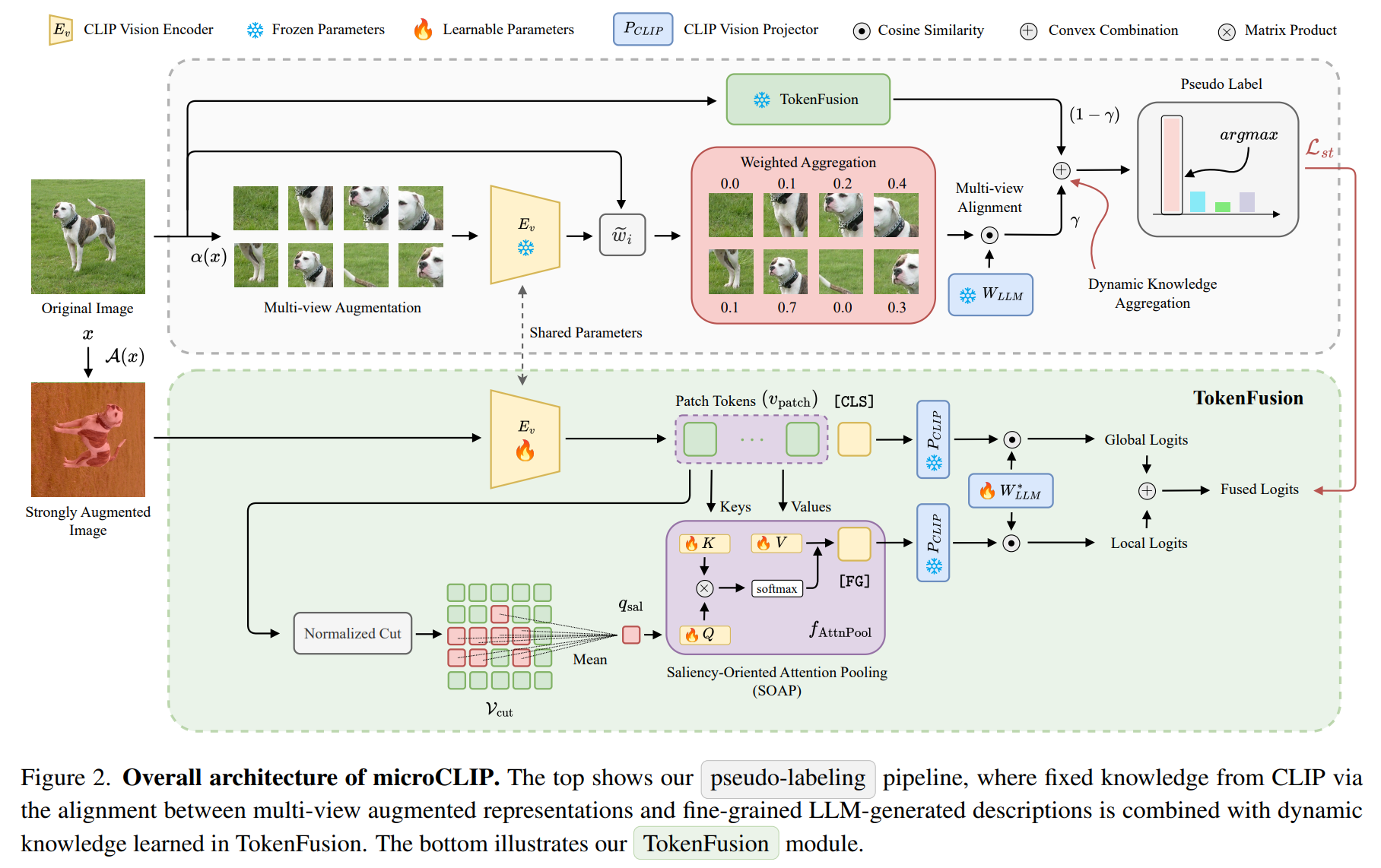 Overall architecture of microCLIP