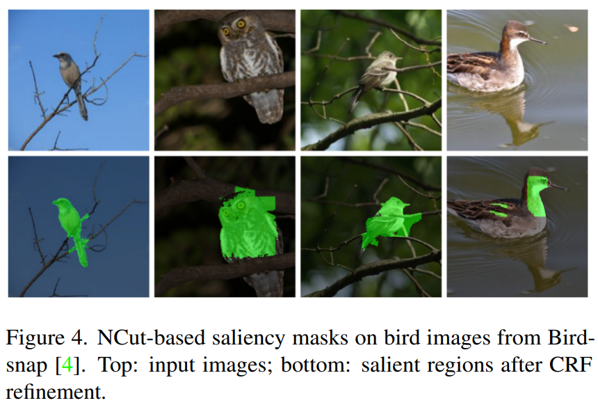 NCut-based saliency maps on Birdsnap